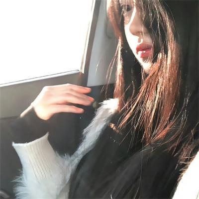 古树旋律 剧场版