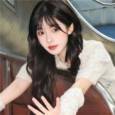 三船敏郎:最后的武士